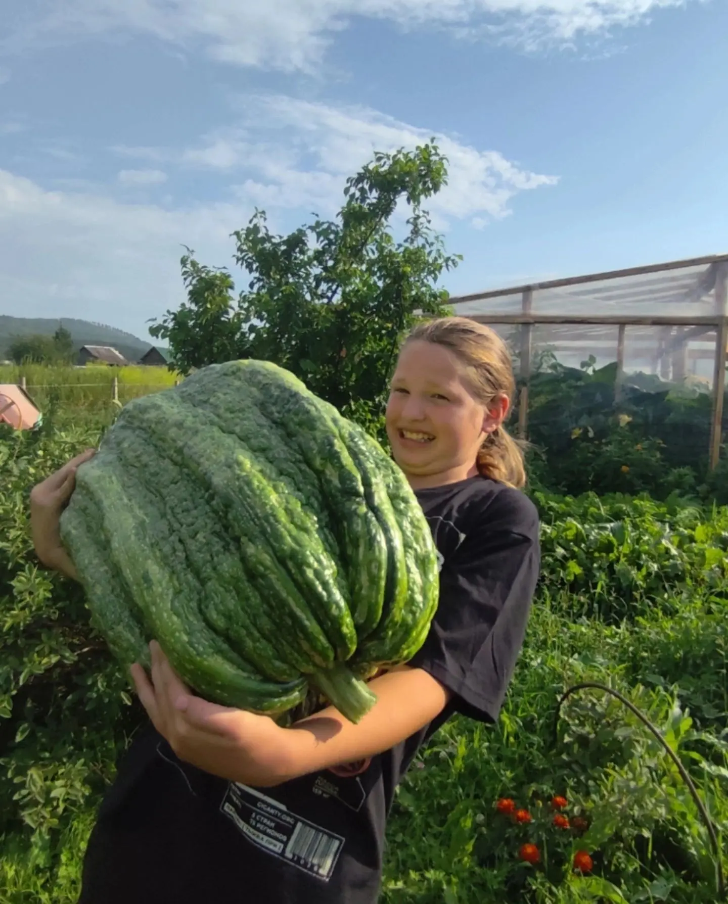 🥦🏆 БИТВА ГИГАНТОВ: РЕКОРДЫ РАСТУТ НА БУЙСКИХ УДОБРЕНИЯХ! 🥕🏆