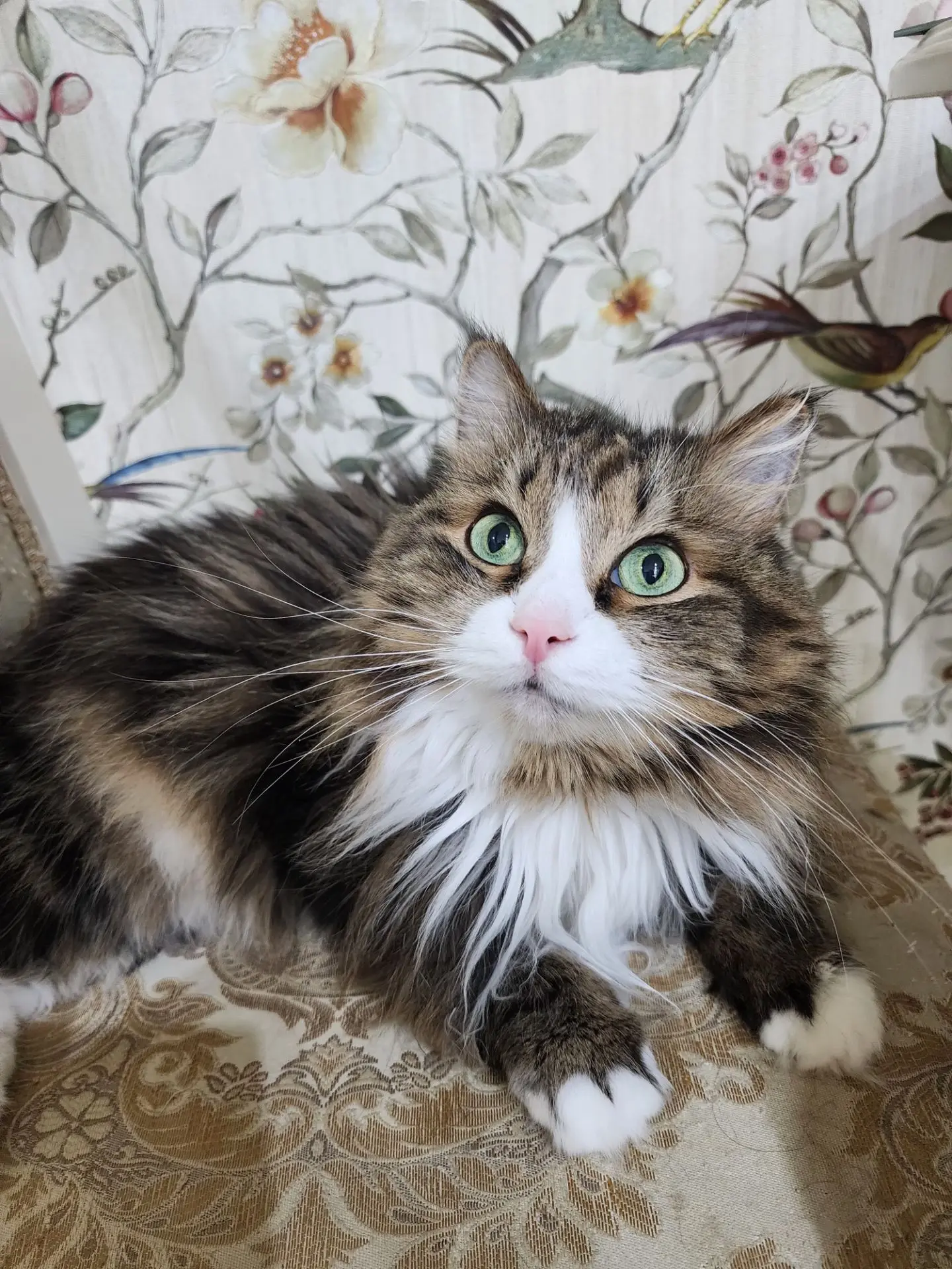 Мой красавец 💘