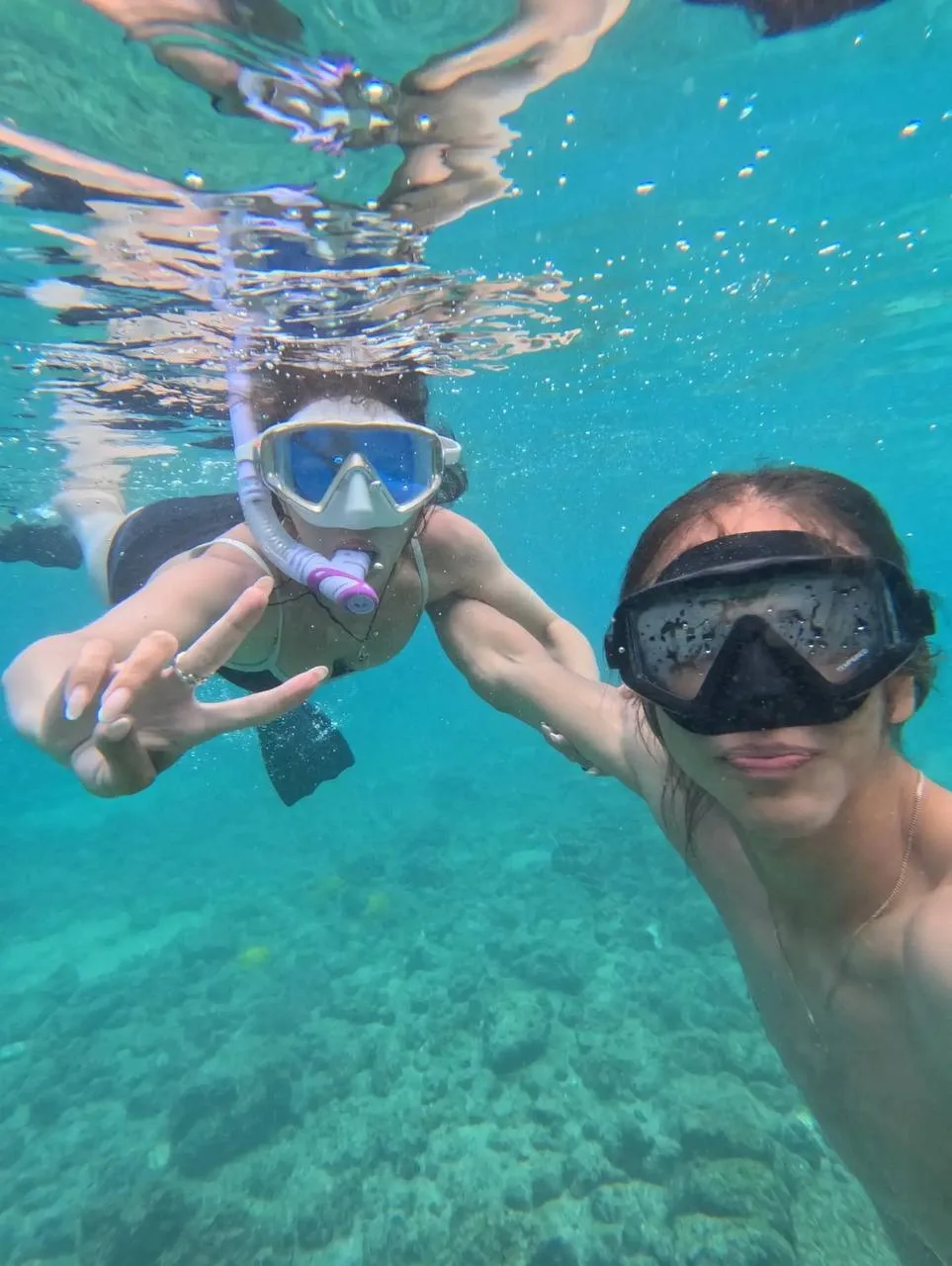 Ныряете в воду, а там они 🏊

Ваши действия?

📸 соцсети Гуменника