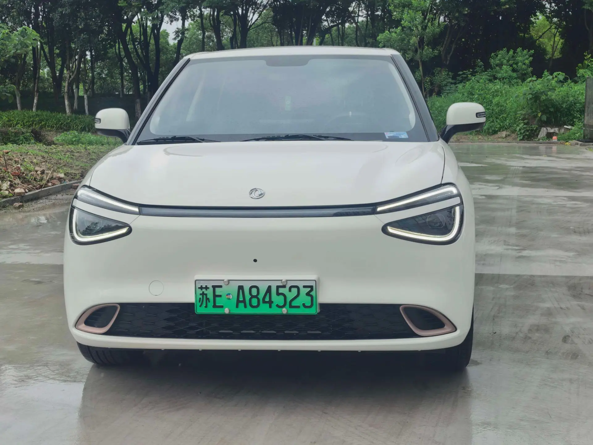 ✅ Dongfeng Nammi