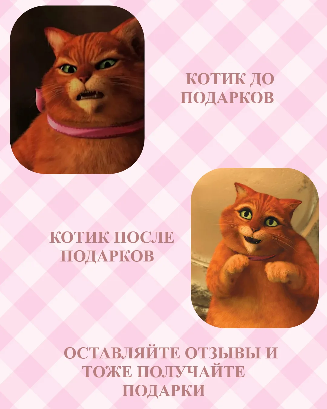 Мы подготовили для Вас что-то интересное😍

Скорее приходи за покупочками, оставляй отзыв и получай 
