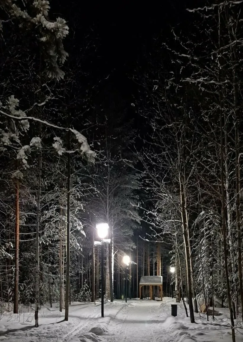 Присылайте Ваши фото в "Предложить пост"