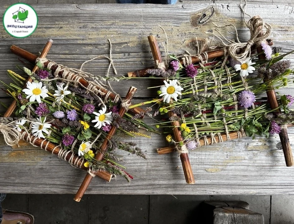 🌿В рамках празднования Дня юннатского движения обучающиеся объединения «Природа и флор...