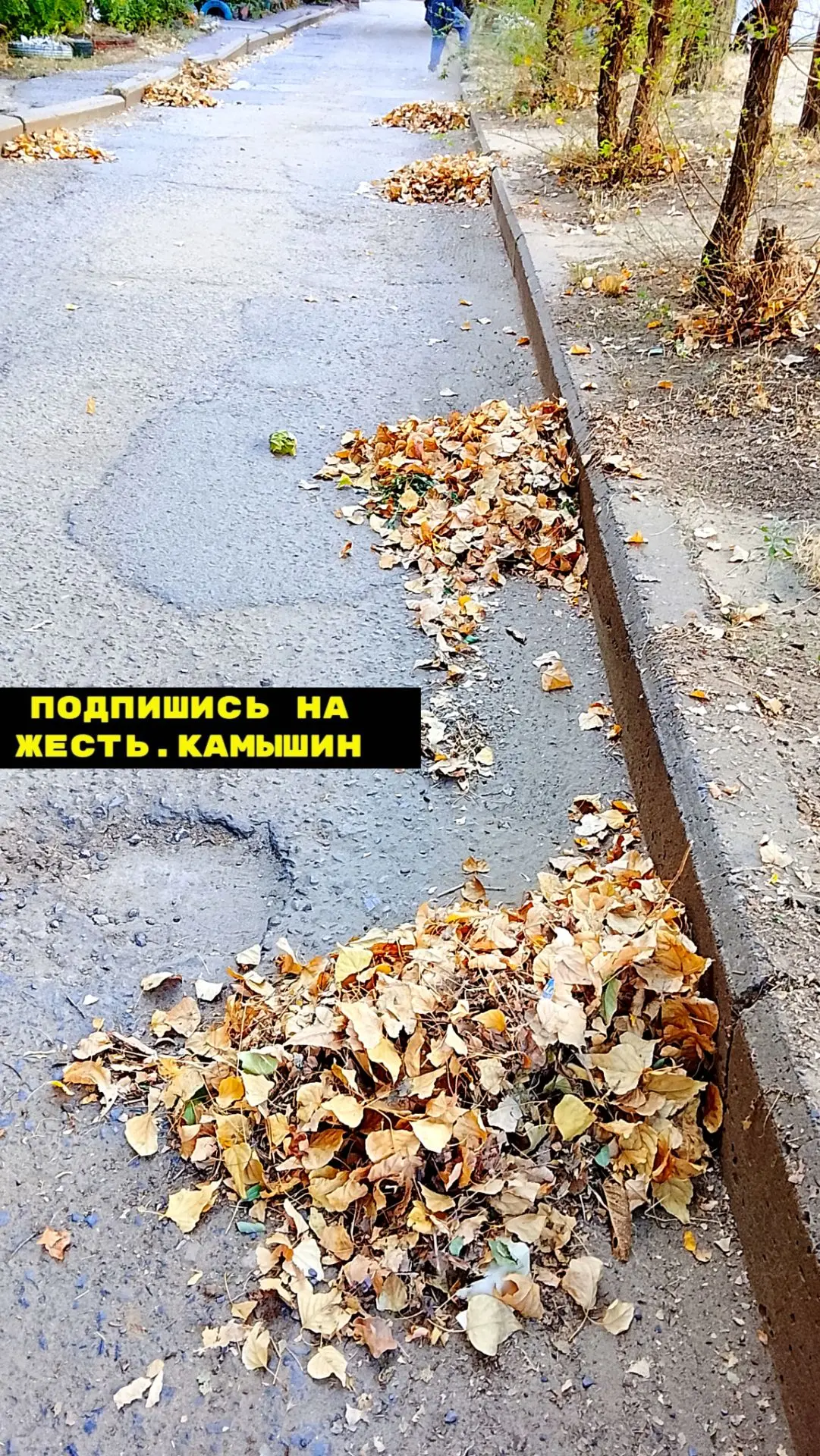 Третье сентября....