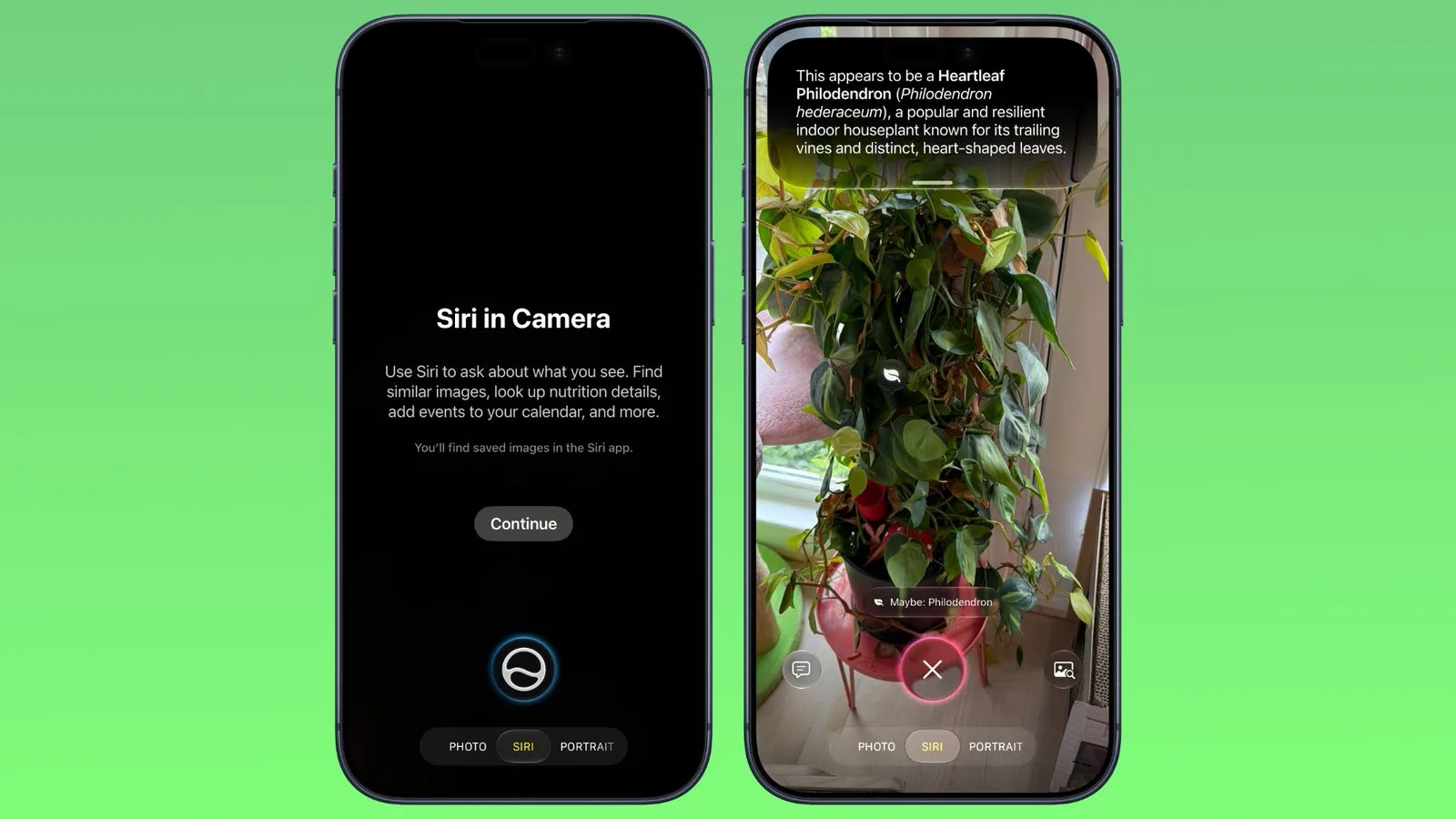 В iOS 27 Apple серьёзно обновила Visual Intelligence и тесно интегрировала её с новой Siri AI.

Тепе