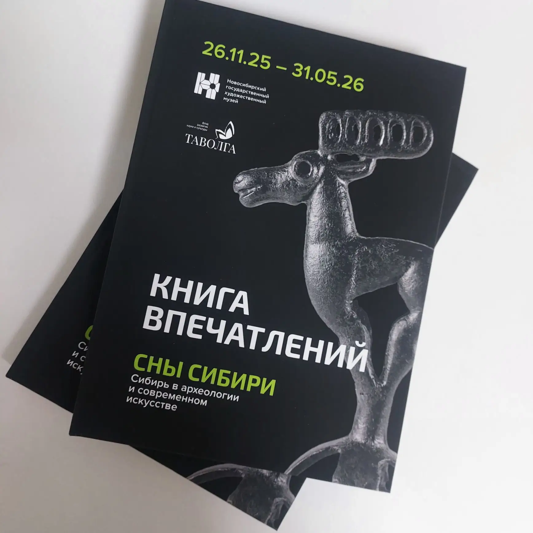 В Новосибирском художественном музее закончилось экспонирование выставки "Сны Сибири" 
Потрясающая, 