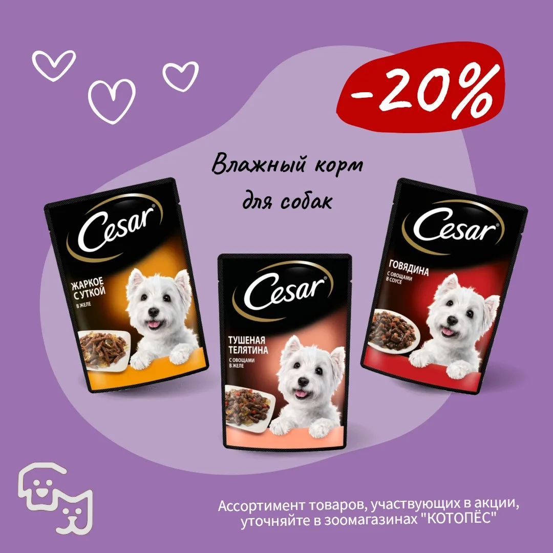 📢Акции❗️Влажный корм в паучах для кошек и собак со скидками до -30%!🔥
✔️ CESAR влажный корм для со