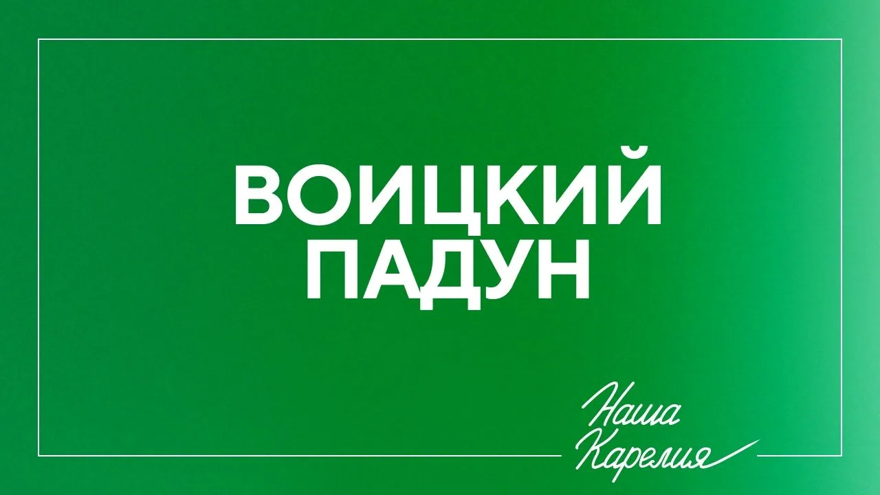 Дорогие друзья!