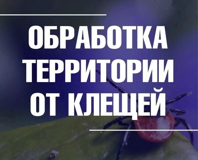 ❗Весна - время активизации иксодовых клещей, переносящих такие опасные заболевания как ...