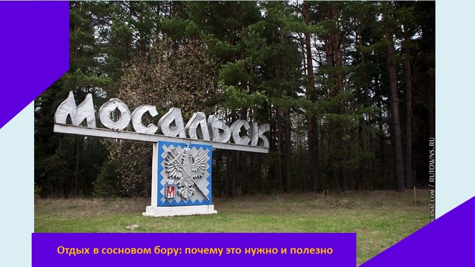 Хвойные деревья издавна считались природными целителями. Лечение хвоей применялось еще в Древнем Рим