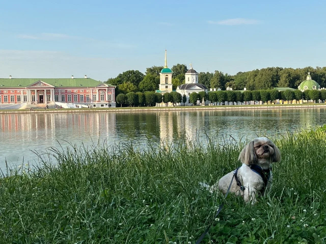 Этот посетитель усадьбы точно знает, как нужно позировать 😎