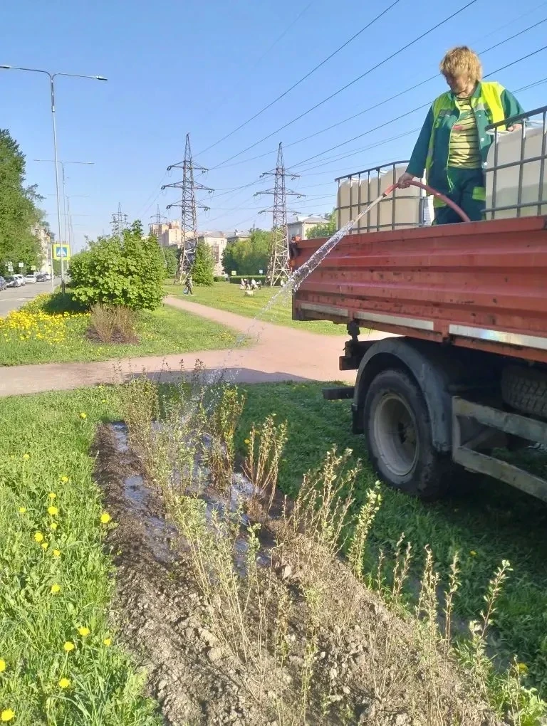 Май в этом году радует теплом, пышным цветением и солнечными днями. Этот месяц создан д...