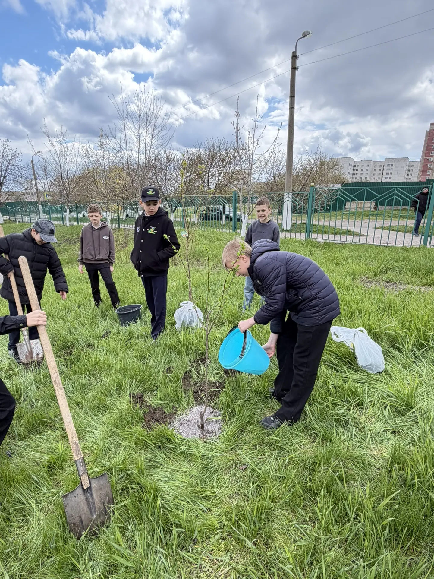Майская гимназия присоединилась к акции "Сад Памяти" 🌳  В этом году, в преддверии 81-й годовщины Вел
