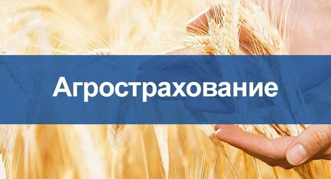 Приглашаем на онлайн‑конференцию: