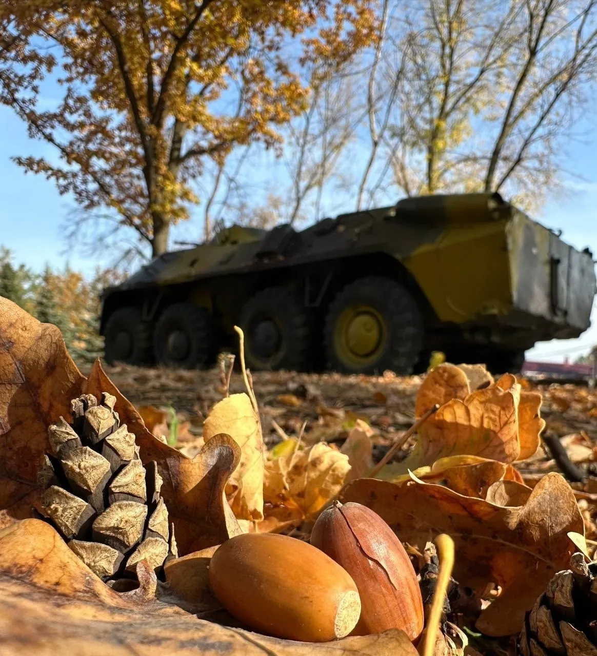 🍁 Последний в этом году день сентября. Поблагодарим его за теплую и солнечную погоду, ...