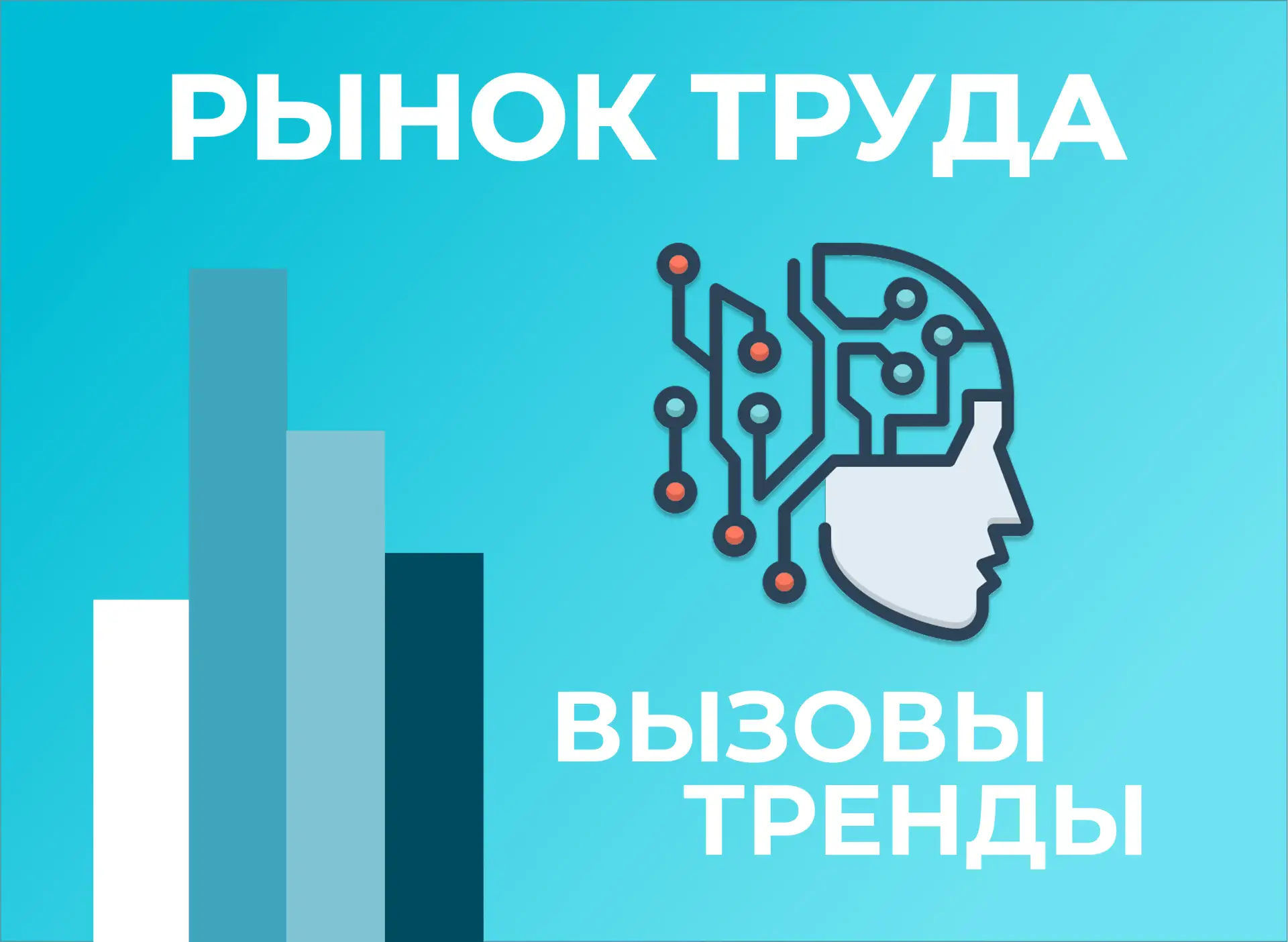 «Учиться, учиться и еще раз учиться» — работает ли это правило сегодня?

📈 Для построения успешной 