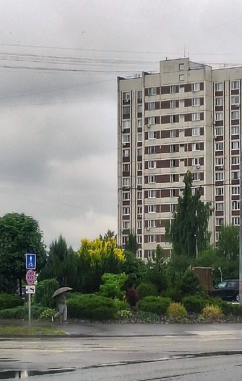 В Братеево пришёл дождик ☔ Дышится легче, но как-то грустно, не находите?

Фото: Александр Зверев

�