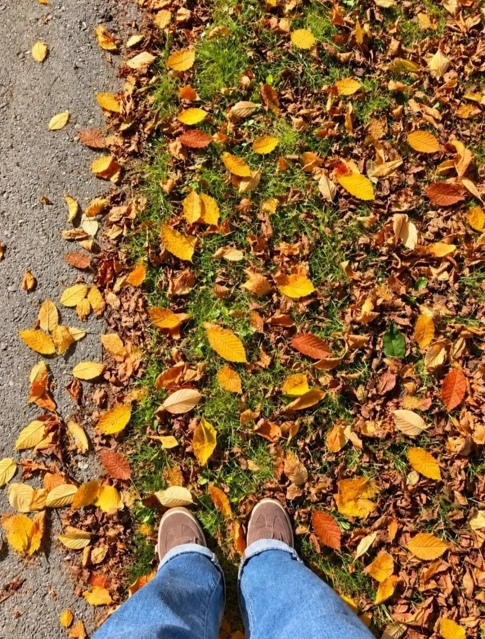 ☀️ Осенняя красота в центральном парке