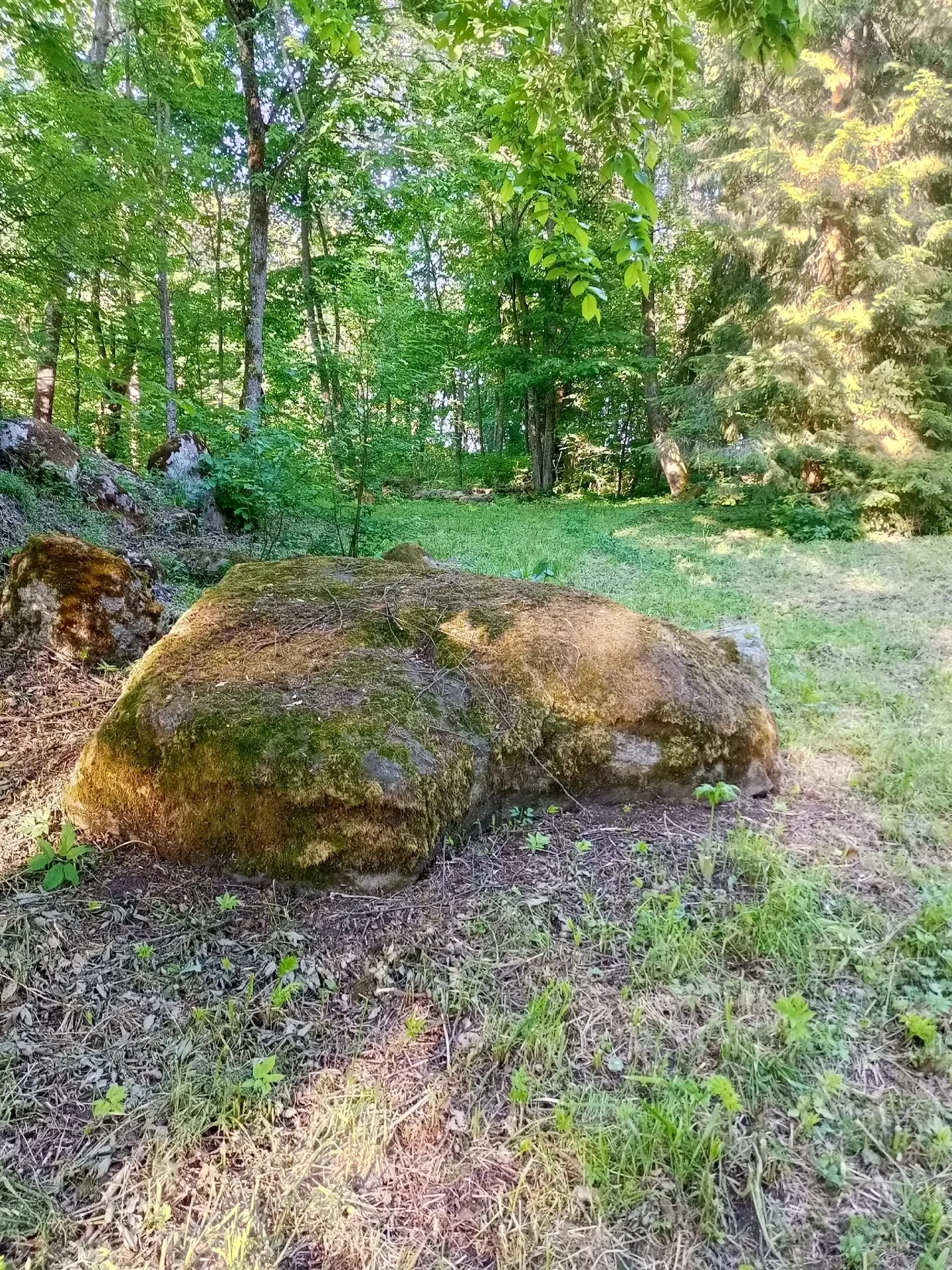 В Усть-Кубинском округе есть замечательный памятник природы – Никольский парк. Много хр...
