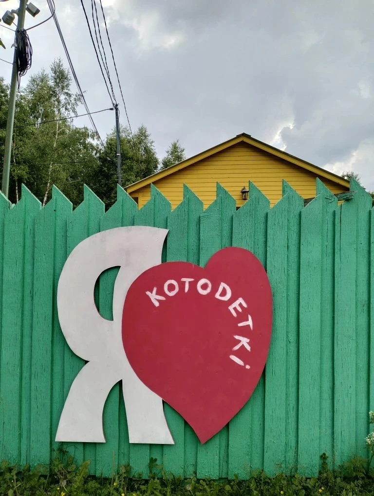 ☀В эти летние дни проходят съемки программы "Твори добро".
 🐶Сегодня наша съемочная группа во главе