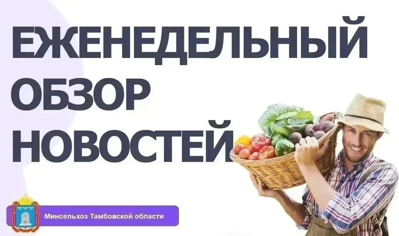 ‼ОБЗОР НОВОСТЕЙ АПК ТАМБОВСКОЙ ОБЛАСТИ С 31 АВГУСТА ПО 6 СЕНТЯБРЯ 2026 ГОДА‼