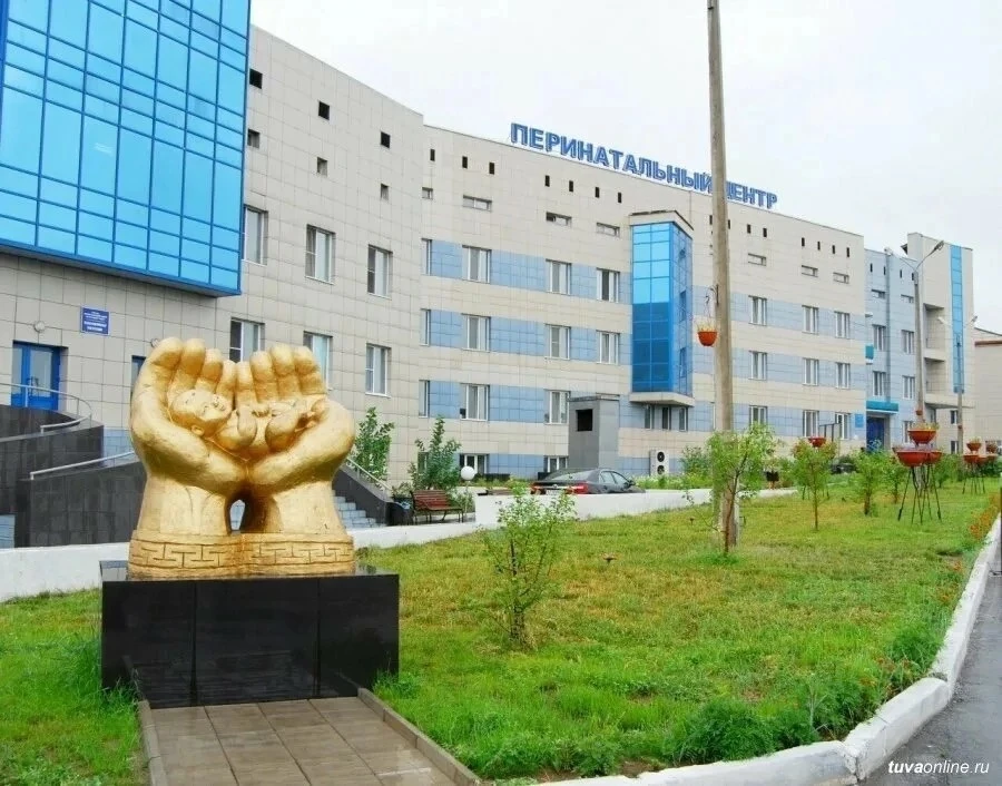 ⚡️В Туве появился доступный способ выявления рисков хромосомных аномалий у плода  Перинатальный цент