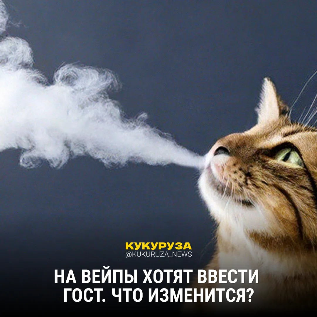 Что бы вы сделали с вейпами?   💩 — запретил бы 👍 — ввел бы жесткие госты  Власти решили пока действо