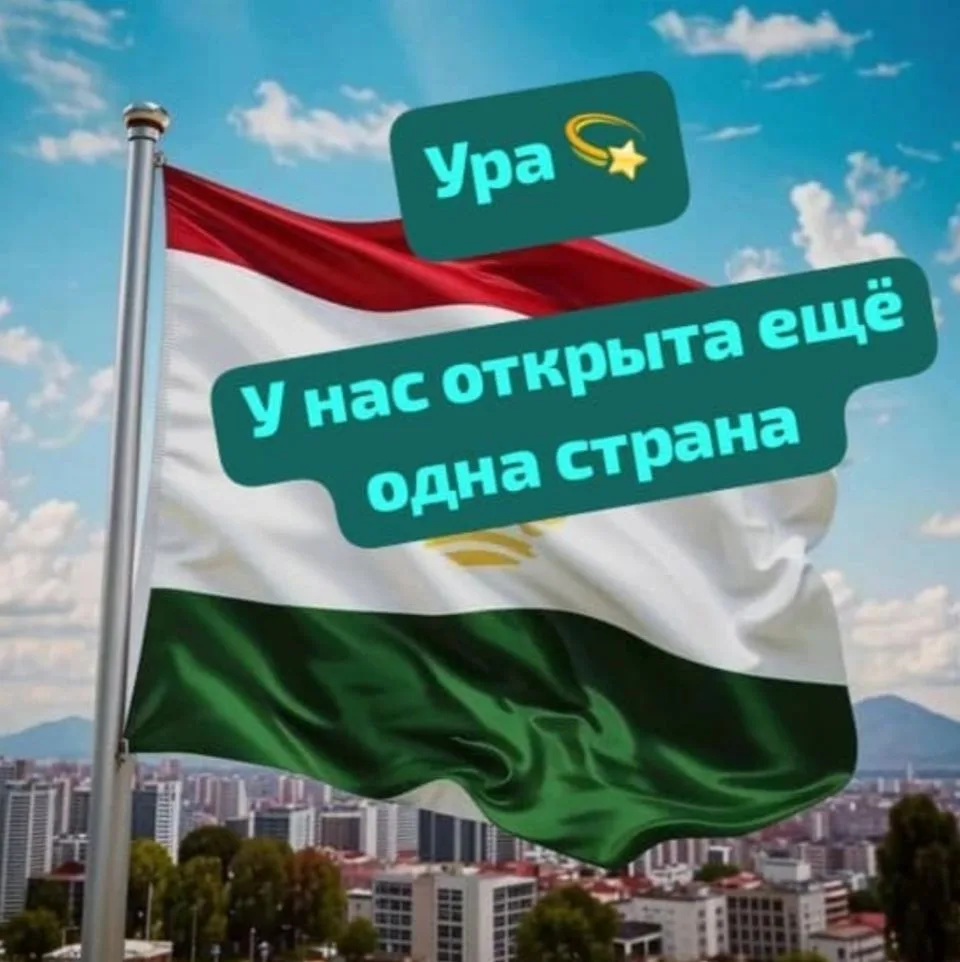 🔽🔽🔽🔽🔽🔽🔽🔽🔽🔽