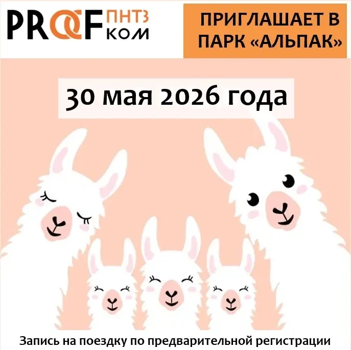 Скоро лето, а значит время для тёплых эмоций и семейных приключений! ☀️🦙