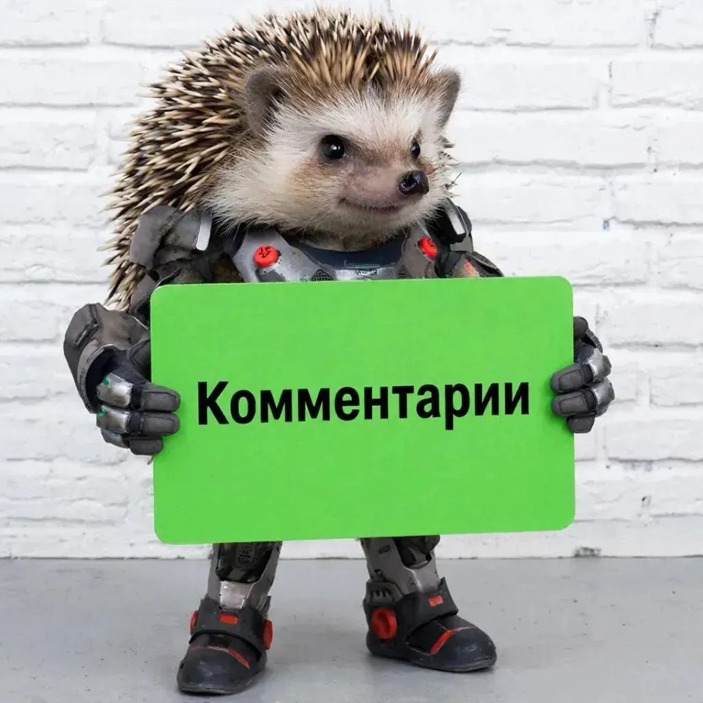 Новость для наших подписчиков!