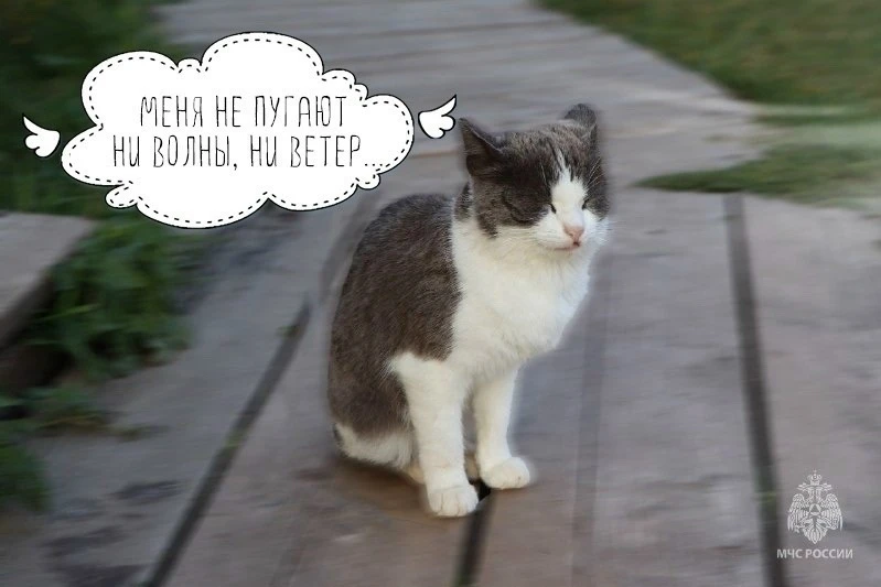 ❗Усиление ветра! #погода