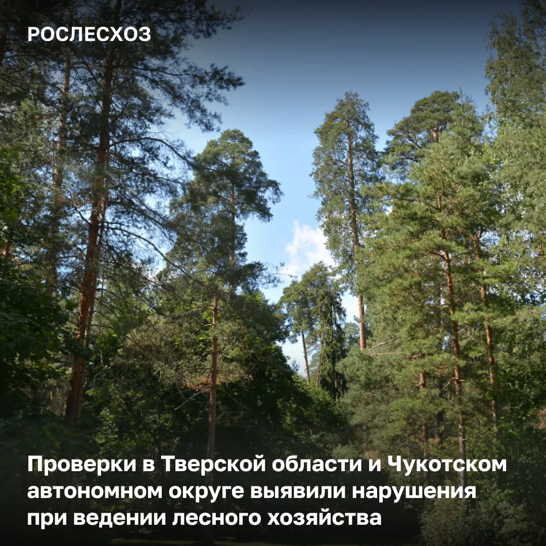 🟢 Рослесхоз завершил проверки по контролю за эффективностью и качеством исполнения переданных полно