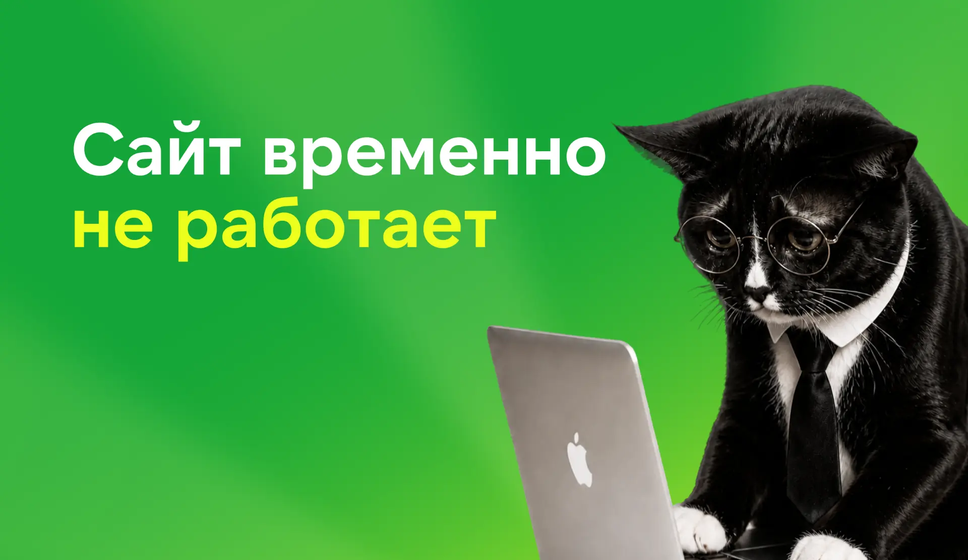 Сайт временно недоступен — мы переходим на новую систему, чтобы твои заказы собирались ...