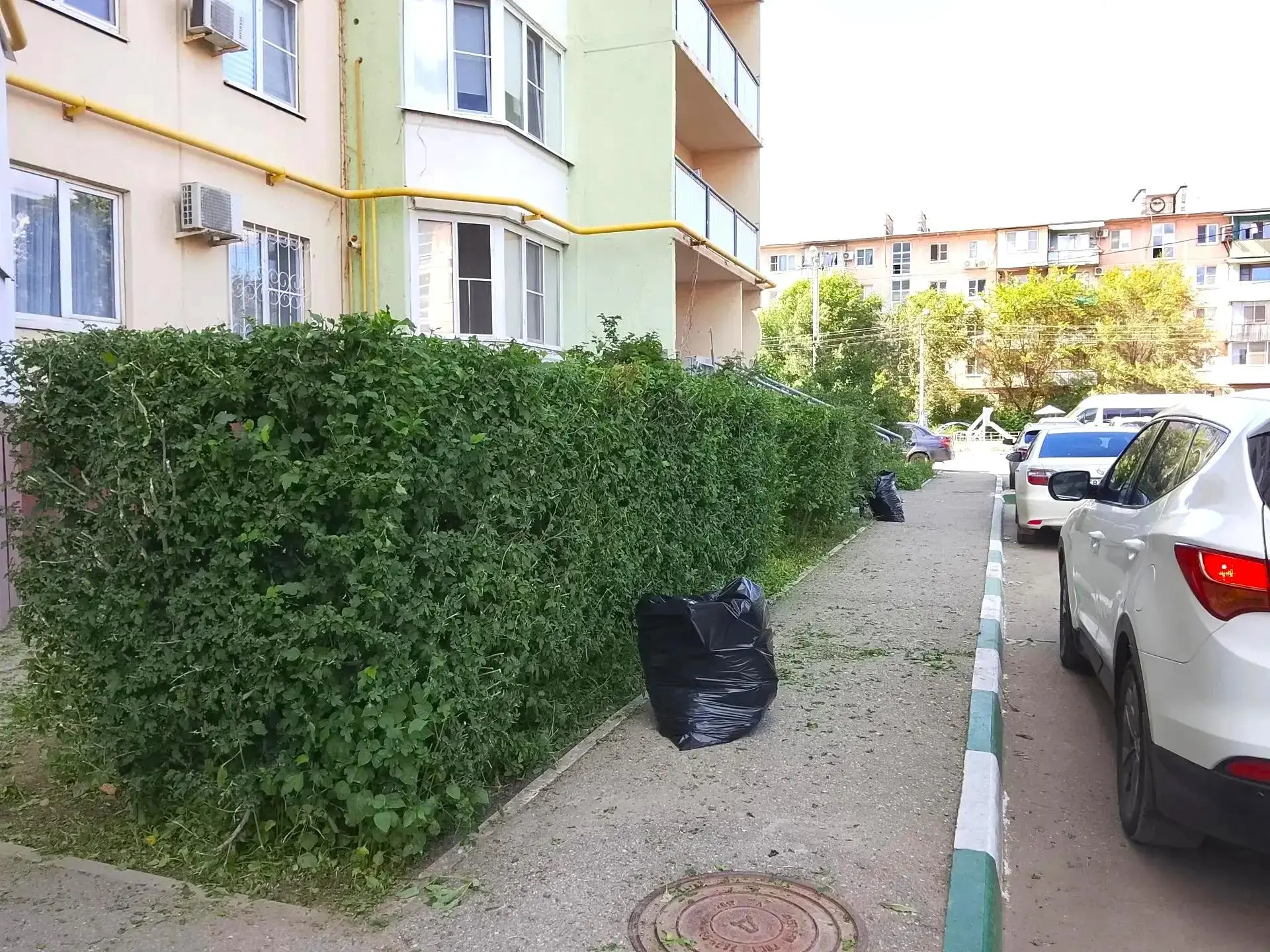 К новости «🌿 Живая изгородь: ровные линии вашего двора»