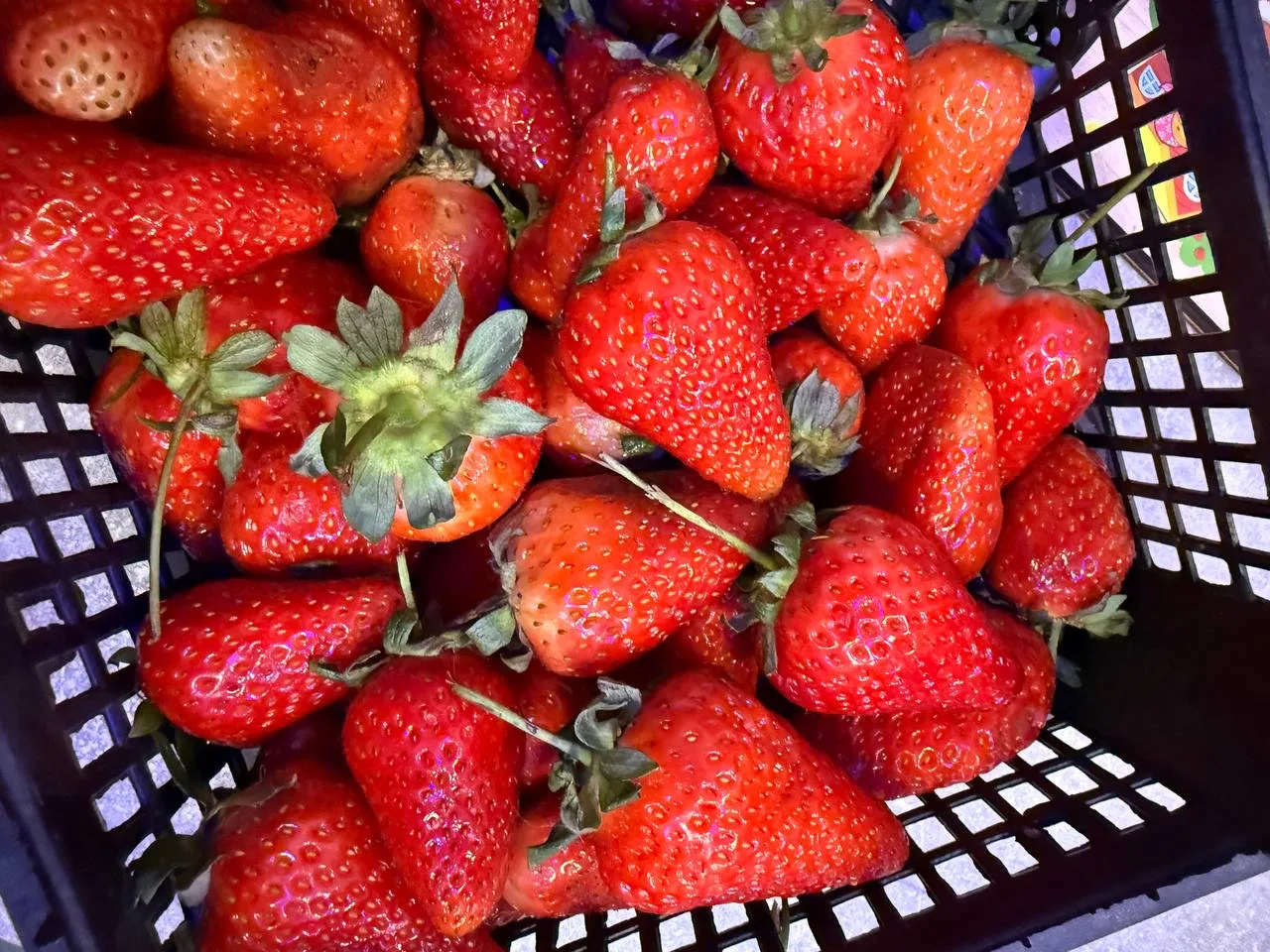 Шикарный вечер 🍓😍 Мама купила нам клубнику, ну какая она вкусная 🥰 Кушали уже клубнику? Или уже наел