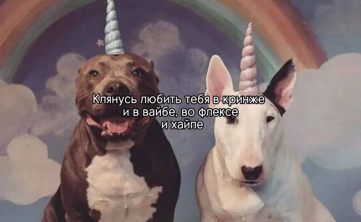 *ты знаешь, кому отправить <З