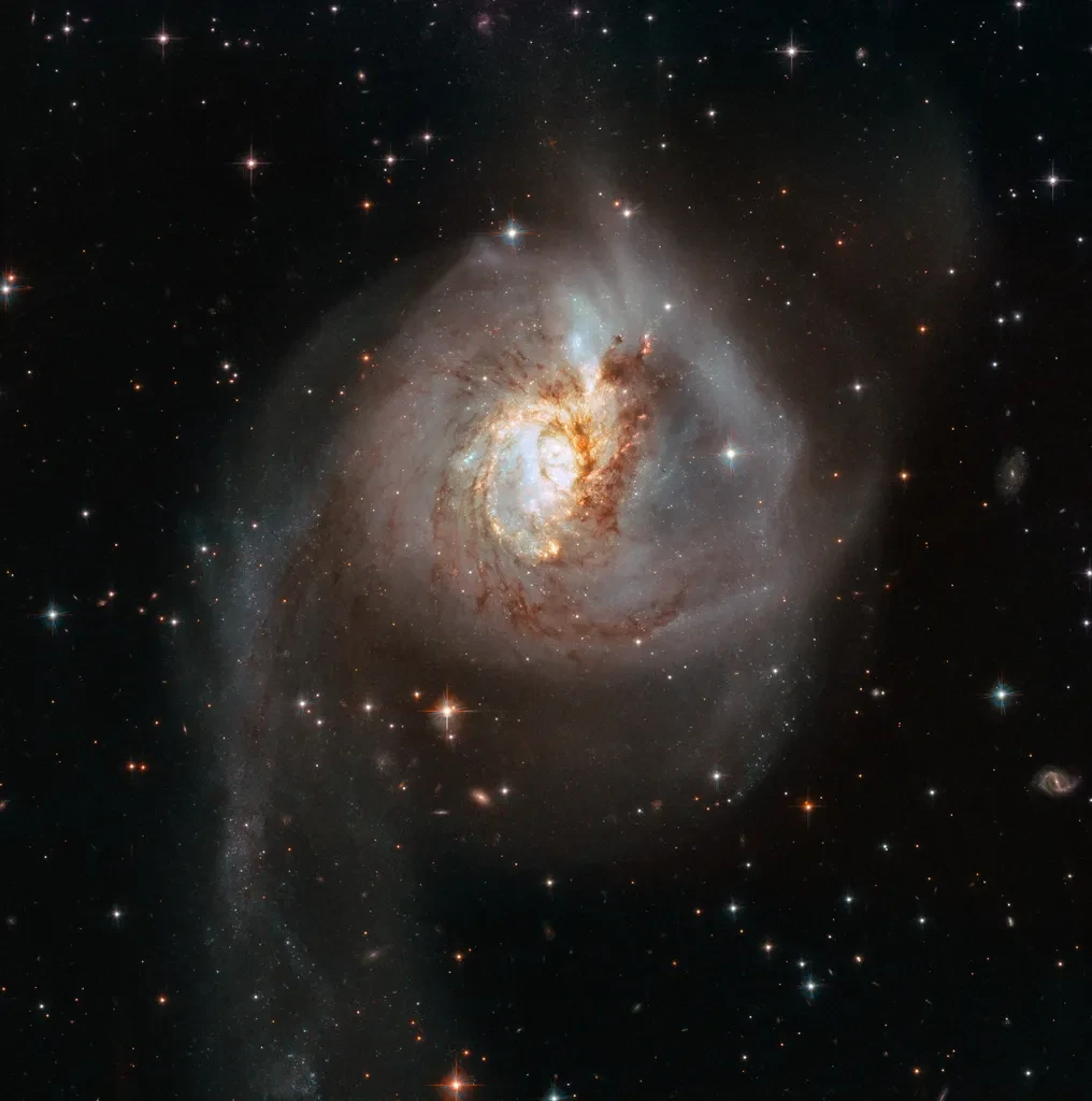 На изображении представлена NGC 3256, пекулярная галактика, образовавшаяся в результате...