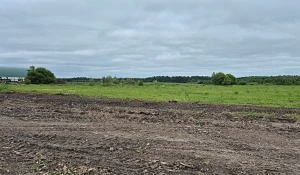 В Волжском районе Марий Эл ликвидировано захламление участка продукцией лесозаготовки по предписанию