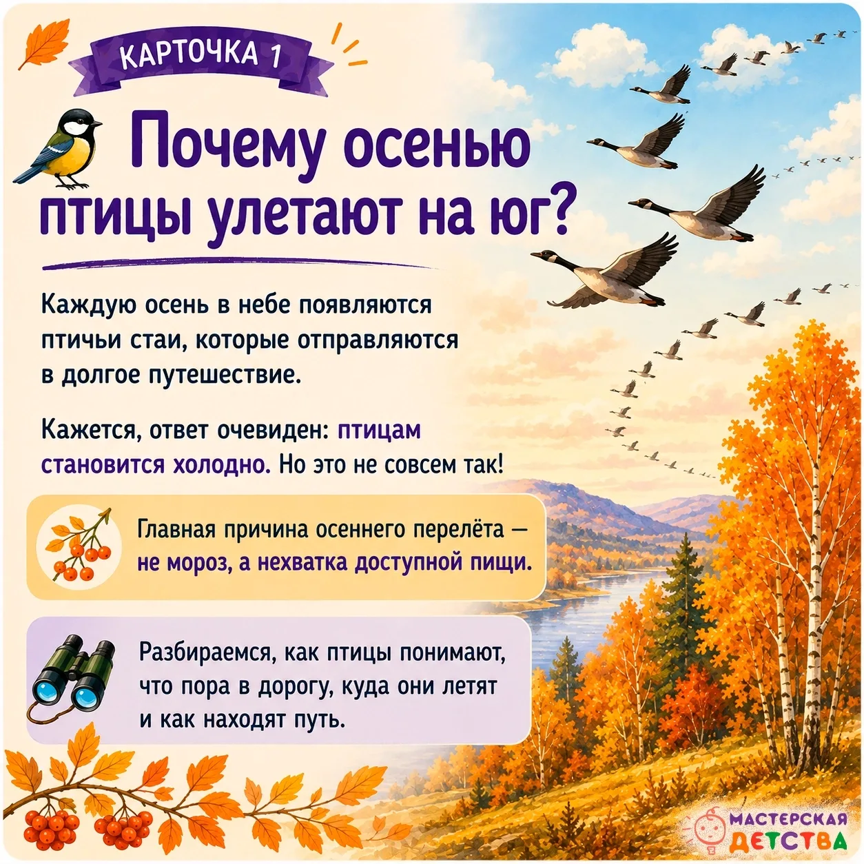 Почему птицы улетают на юг? Неужели им просто становится холодно? 🐦