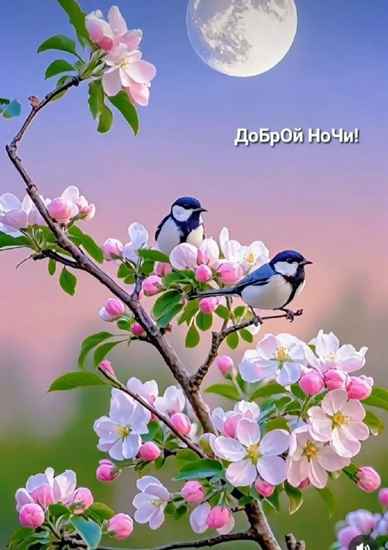 🌹Открытки для любимых