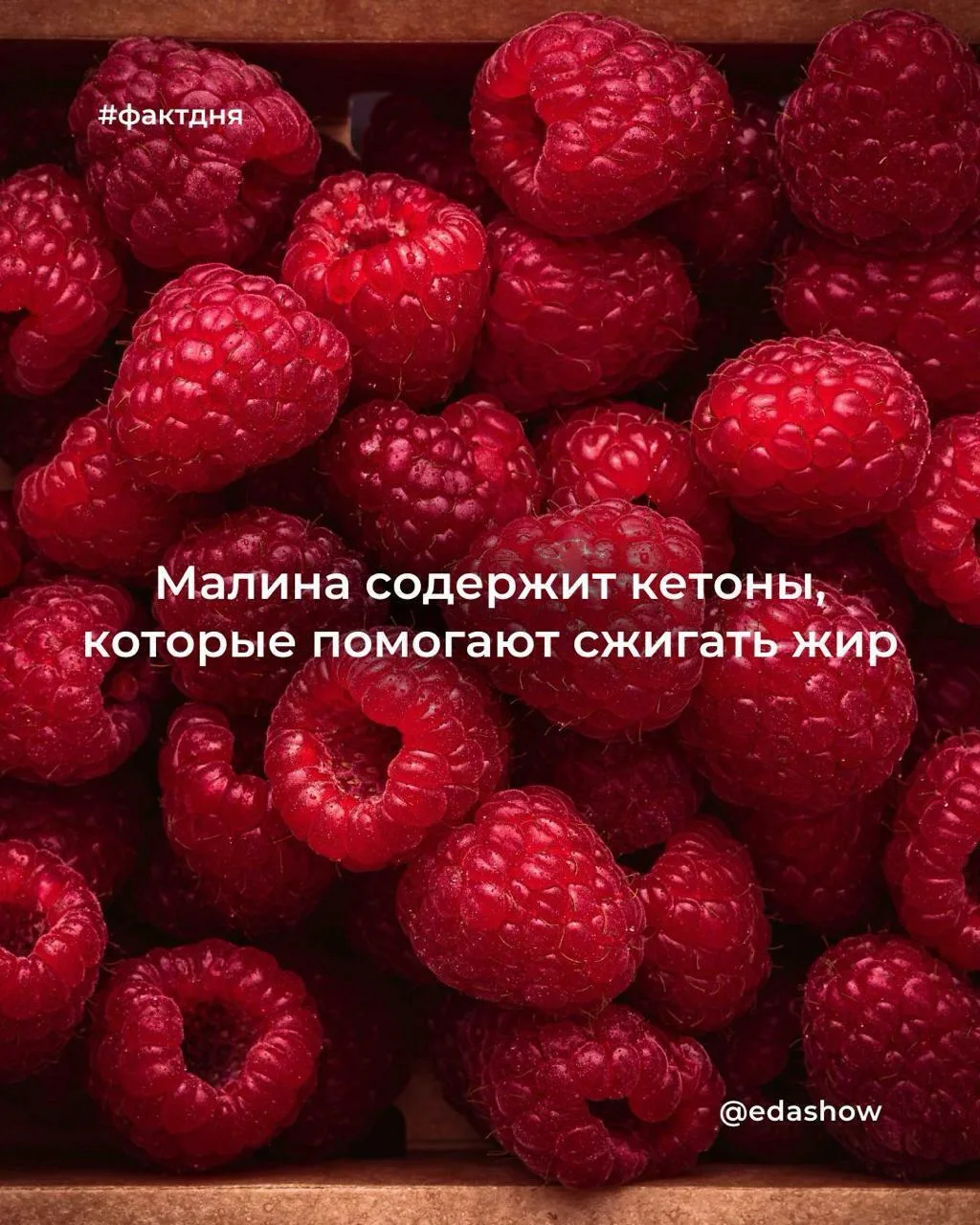 Малиновый кетон — природное соединение, которое придаёт ягоде характерный аромат. Исследования на кл