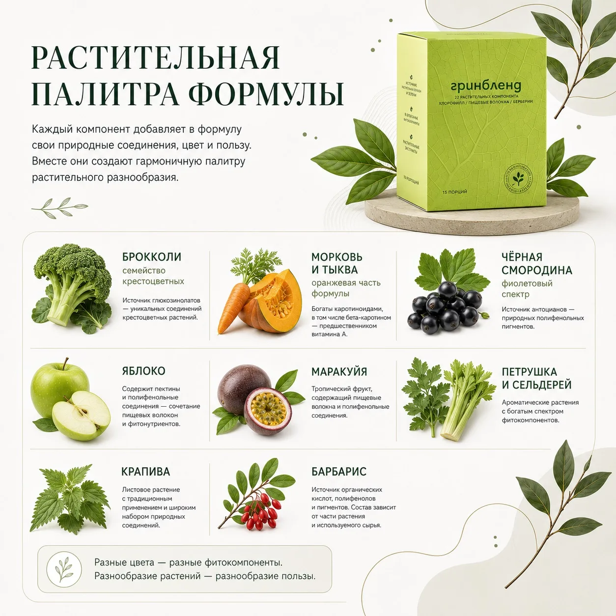 ВТОРАЯ ПОЛОВИНА СОСТАВА - НАСТОЯЩАЯ ПАЛИТРА ЦВЕТОВ