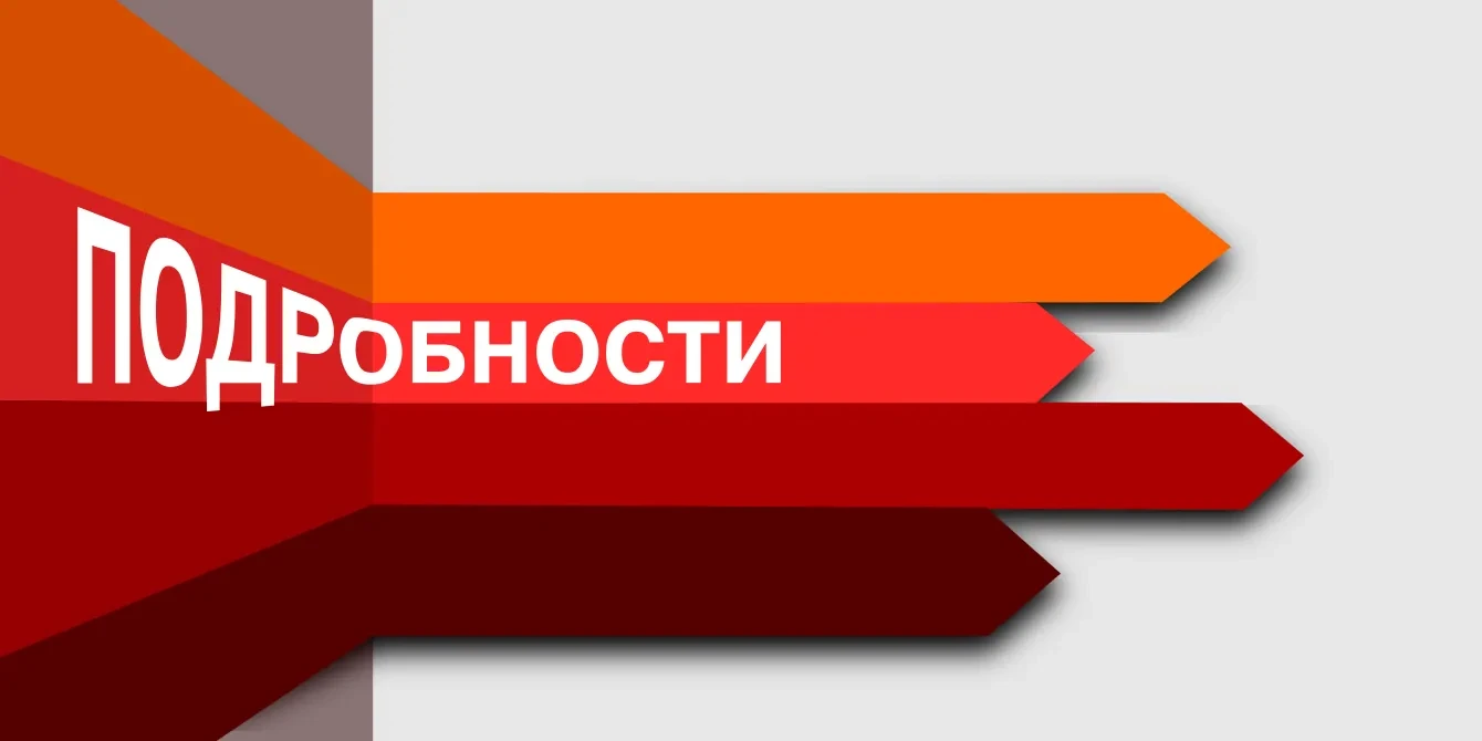 Деревня Даймище в Гатчинском округе оказалась в центре внимания губернатора