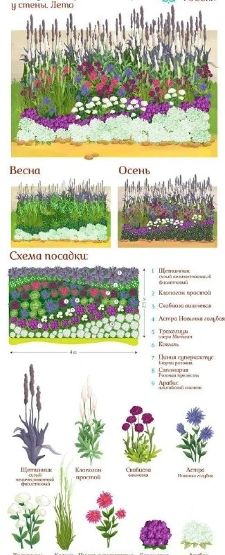 🌸 Три сезона клумбы со злаками.