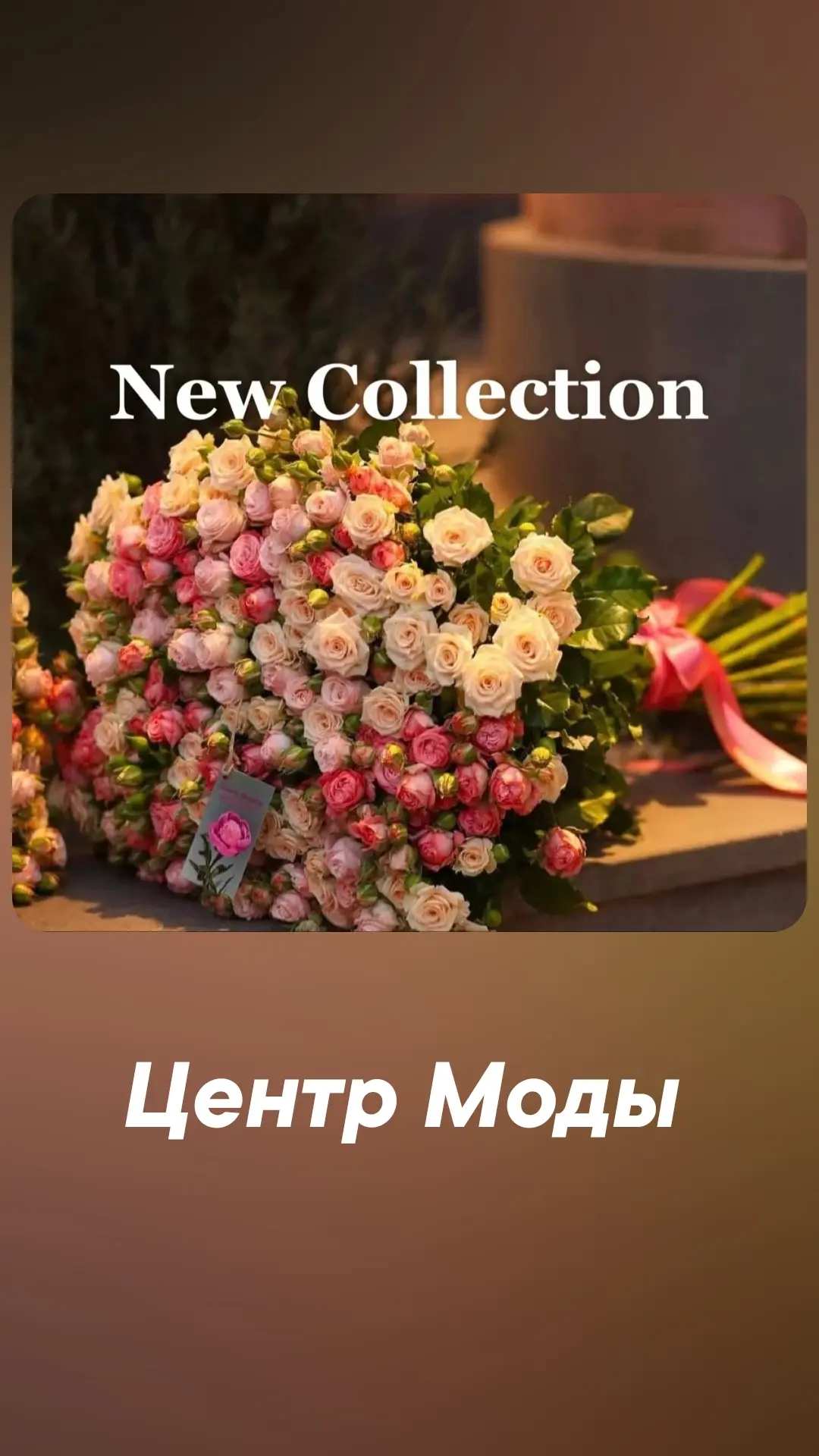 "ЦЕНТР МОДЫ "