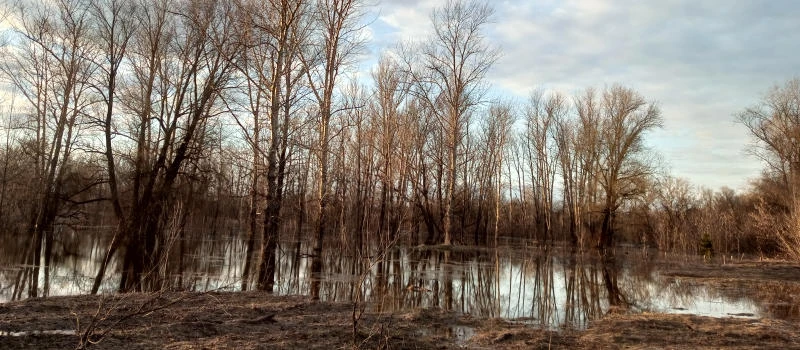 Весеннее половодье, состояние на 9 апреля: вода продолжает прибывать