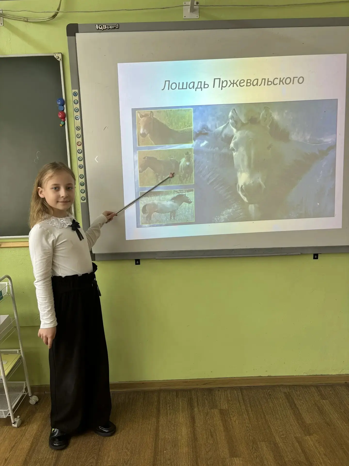 🌱 Экологическое просвещение во 2А: классный час «Красная книга» 🌱    💢Формирование экологической кул