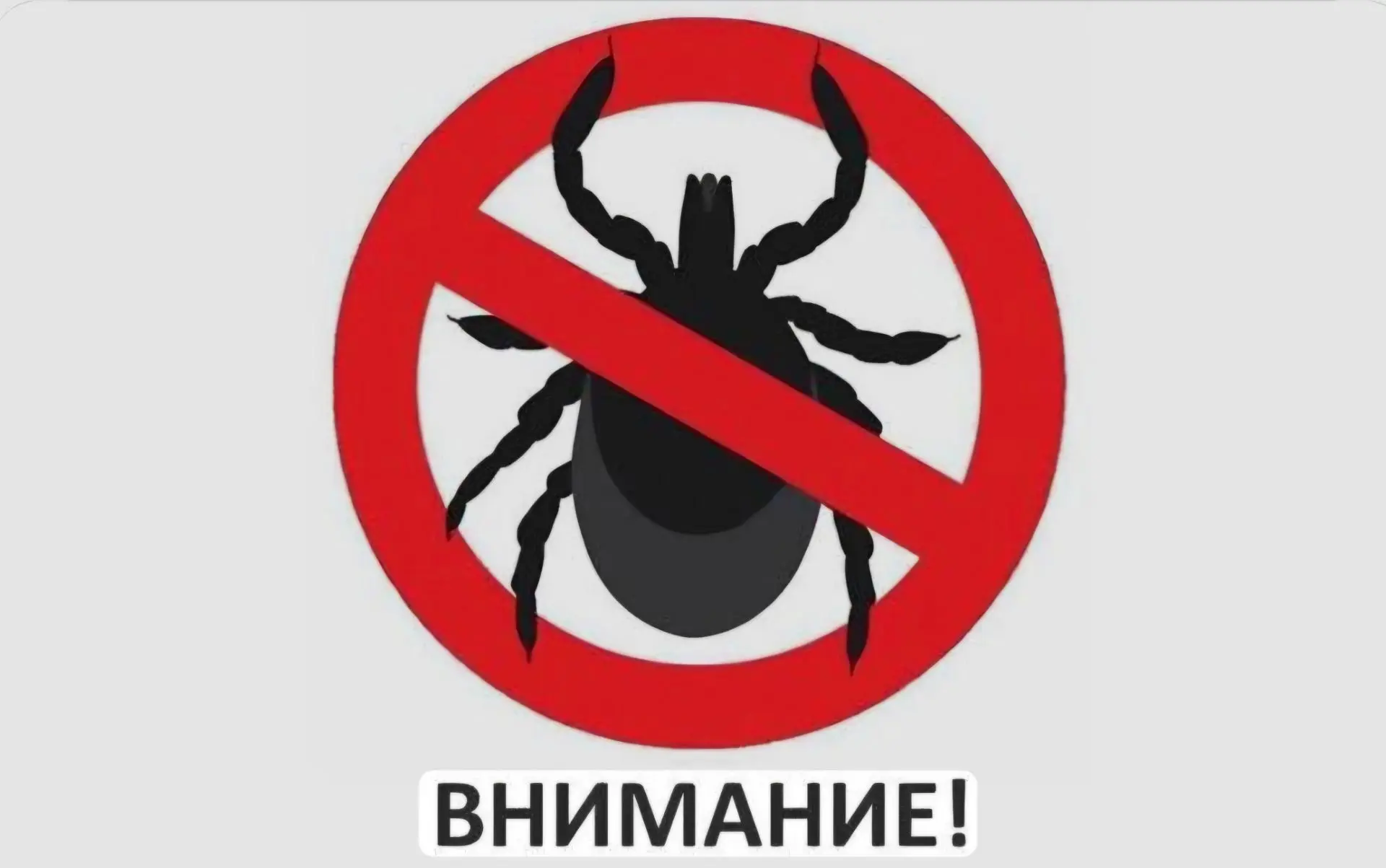 Администрация Нижнеудинского муниципального образования уведомляет жителей города, что ...