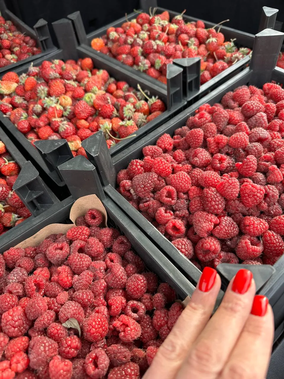 🍒🍓🫐МАШИНА 🍓🍒🫐