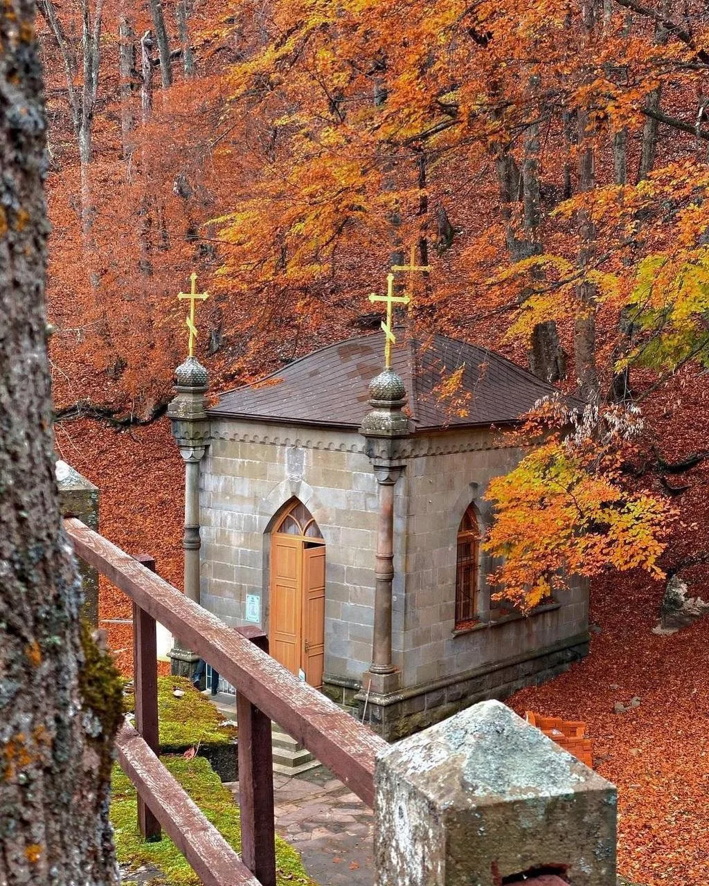 Крымский заповедник 😍